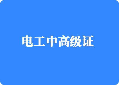 午夜大鸡巴插逼日本电工中高级证